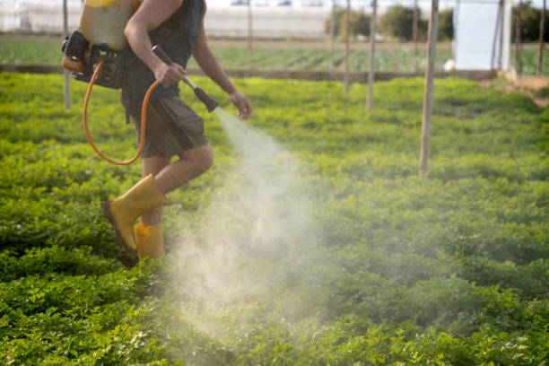 Trusted Sulphur, OK Pest Control Experts